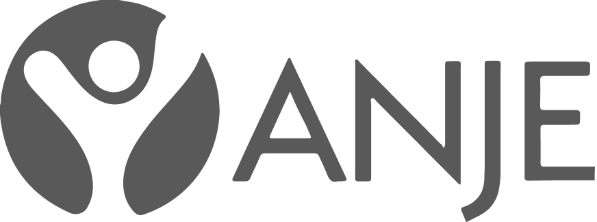 Logo ANJE gris